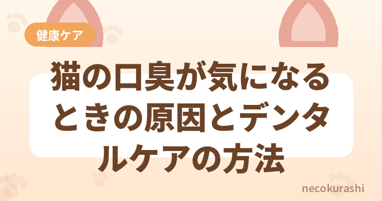 猫の目やに・涙やけの原因とケア方法【色・量で見る異常のサイン】