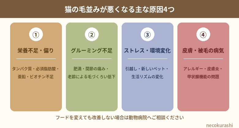 猫の毛並みが悪くなる主な原因4つ