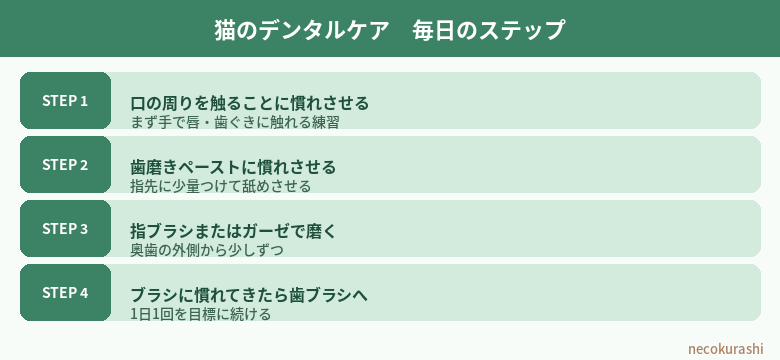 猫の口臭が気になるときの原因とデンタルケア