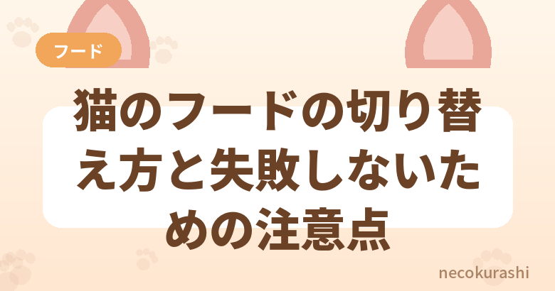 猫のフード切り替えで失敗しない方法【子猫→成猫の移行期も解説】