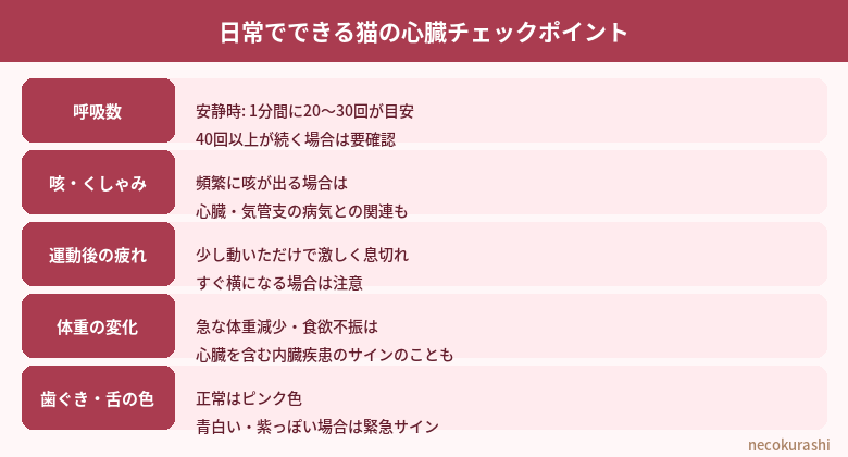 猫の心臓の健康と日常チェックポイント