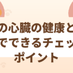 猫の心臓の健康と日常でできるチェックポイント