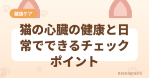 猫の心臓の健康と日常でできるチェックポイント
