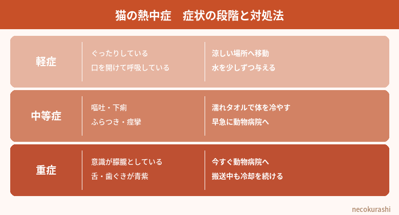 猫の熱中症症状の段階と対処法