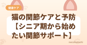 猫の関節ケアと予防【シニア期から始めたい関節サポート】