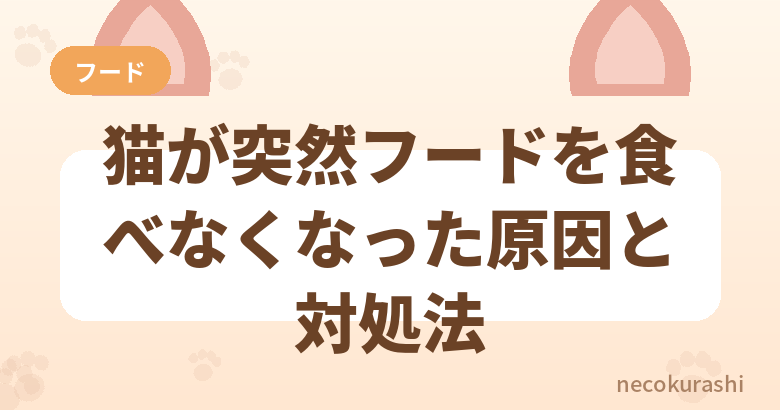 猫が突然フードを食べなくなった原因と対処法【飽き・アレルギーの見分け方】