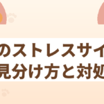 猫のストレスサインの見分け方と対処法