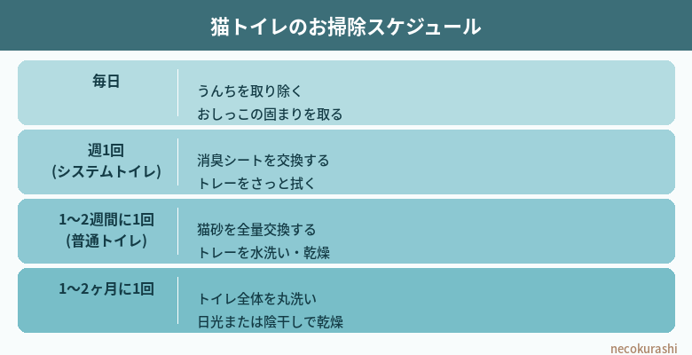 猫トイレの掃除頻度と正しい洗い方