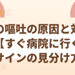猫の嘔吐の原因と対処法【すぐ病院に行くべきサインの見分け方】