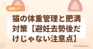 猫の体重管理と肥満対策【避妊去勢後だけじゃない注意点】