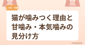 猫が噛みつく理由と甘噛み・本気噛みの見分け方