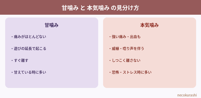 甘噛みと本気噛みの見分け方