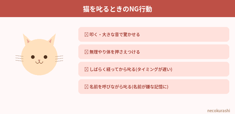 猫を叱るときのNG行動