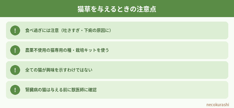 猫草を与えるときの注意点