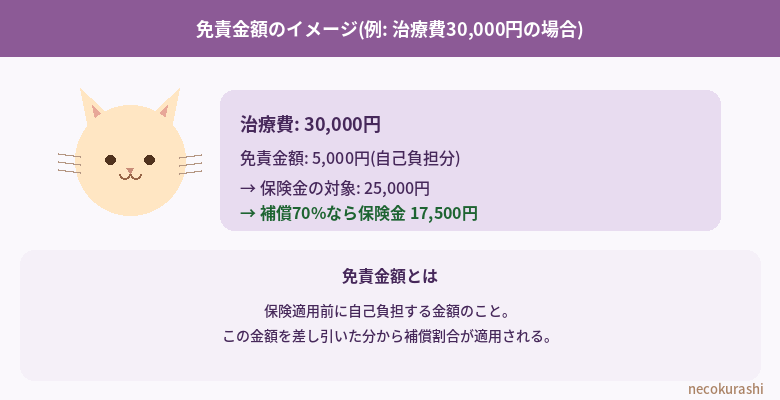 免責金額のイメージ