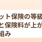 ペット保険の等級制度と保険料が上がる仕組み