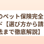 猫のペット保険完全ガイド【選び方から請求方法まで徹底解説】