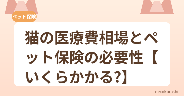 猫の医療費相場とペット保険の必要性【いくらかかる?】