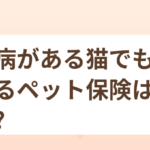 持病がある猫でも入れるペット保険はある？