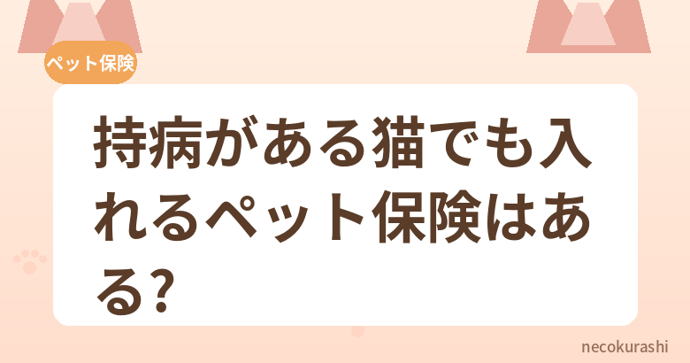 持病がある猫でも入れるペット保険はある?