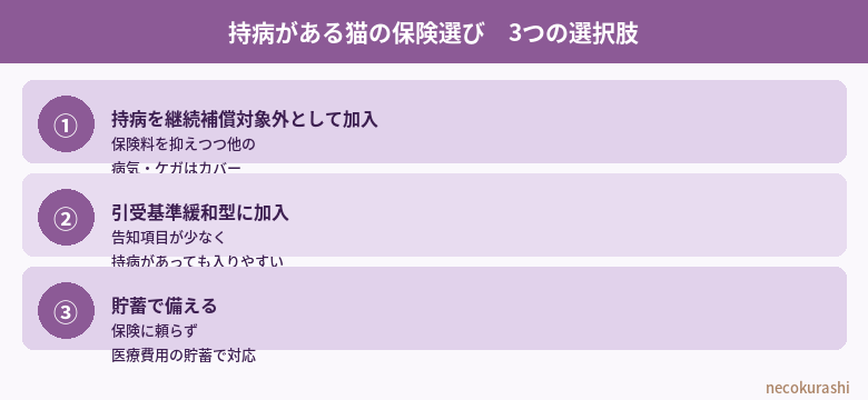 持病がある猫の保険選び3つの選択肢