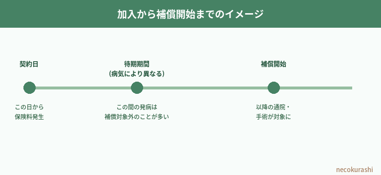 加入から補償開始までのイメージ