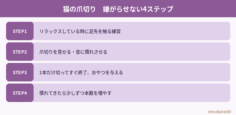 猫の爪切り嫌がらせない4ステップ