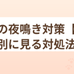 猫の夜鳴き対策【原因別に見る対処法】