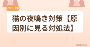 猫の夜鳴き対策【原因別に見る対処法】