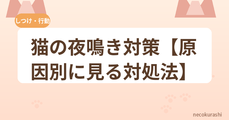 猫の夜鳴き対策【原因別に見る対処法】